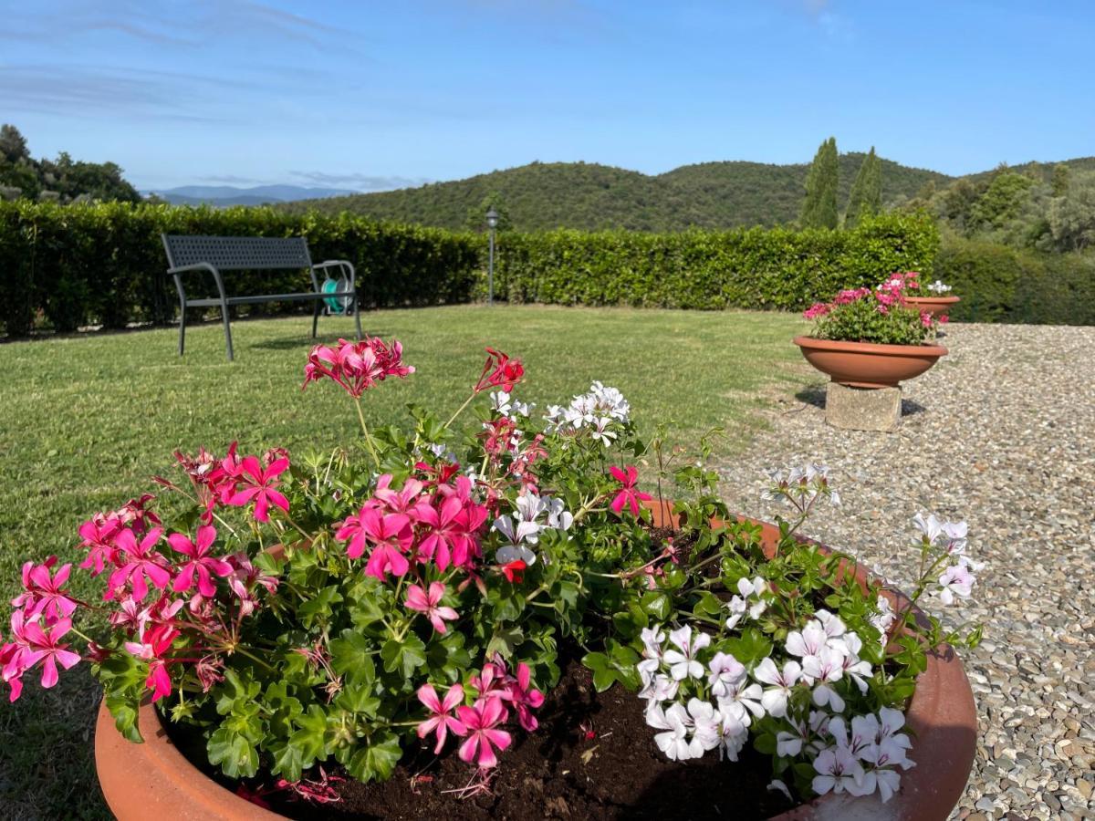 Tenuta Montemassi Podere Montauzzo מראה חיצוני תמונה