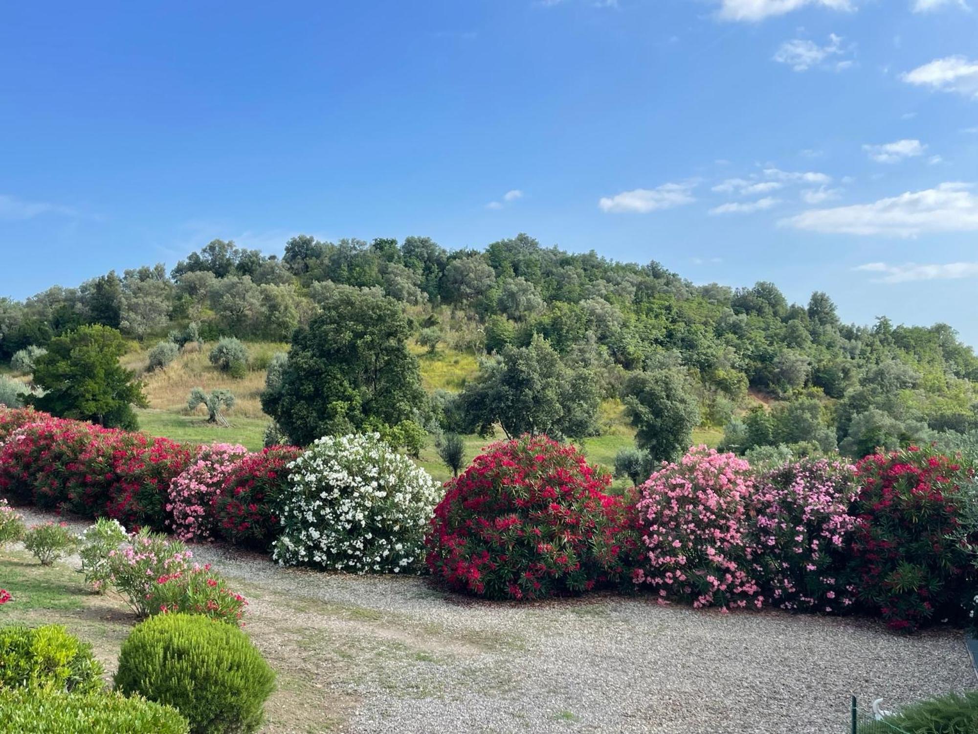 Tenuta Montemassi Podere Montauzzo מראה חיצוני תמונה